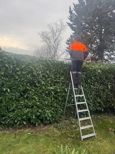 Abattage sécurisé – SAUNIER Espaces Verts, paysagiste Maine-et-Loire (49)