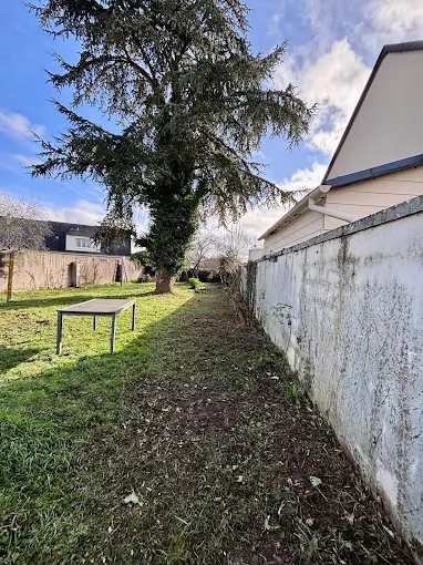 Élagage d'arbre – SAUNIER Espaces Verts, paysagiste Maine-et-Loire (49)