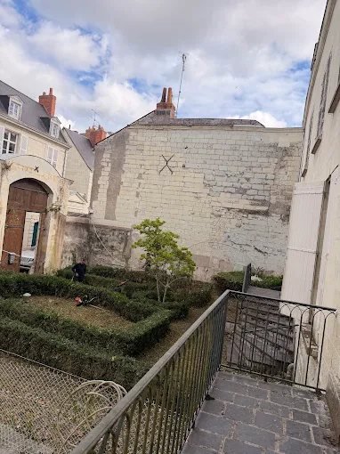 Taille de haie – SAUNIER Espaces Verts, paysagiste Maine-et-Loire (49)