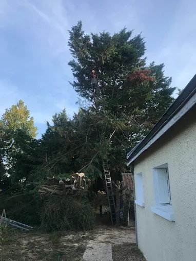Abattage sécurisé – SAUNIER Espaces Verts, paysagiste Maine-et-Loire (49)