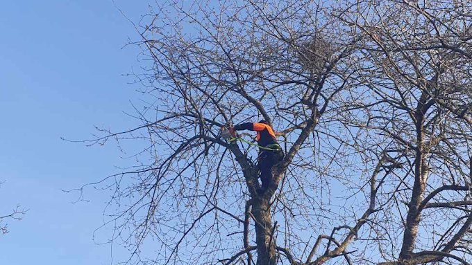 Chantier SAUNIER Espaces Verts – paysagiste Maine-et-Loire (49)